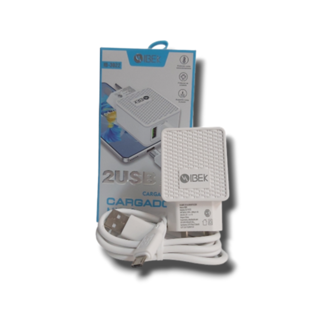 Cargador Ibek 3022